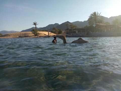 Sebaii Camp السباعى كامب شاطئ الترابين بجوار ويت بالس Ostello Nuweiba` Esterno foto