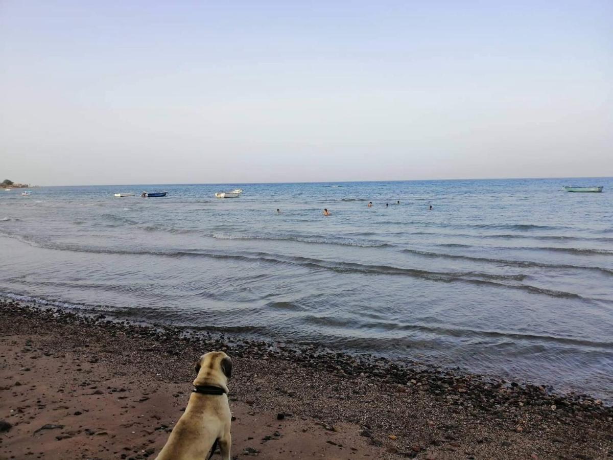 Sebaii Camp السباعى كامب شاطئ الترابين بجوار ويت بالس Ostello Nuweiba` Esterno foto