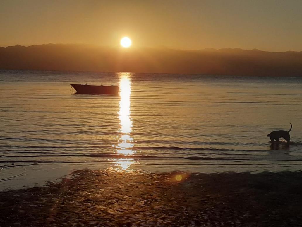 Sebaii Camp السباعى كامب شاطئ الترابين بجوار ويت بالس Ostello Nuweiba` Esterno foto