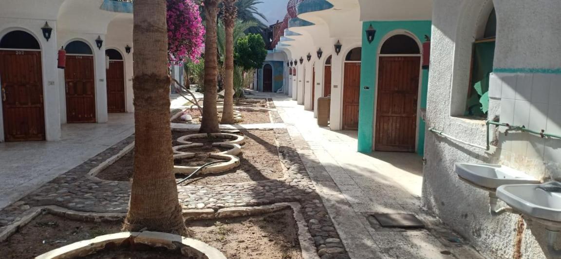 Sebaii Camp السباعى كامب شاطئ الترابين بجوار ويت بالس Ostello Nuweiba` Esterno foto